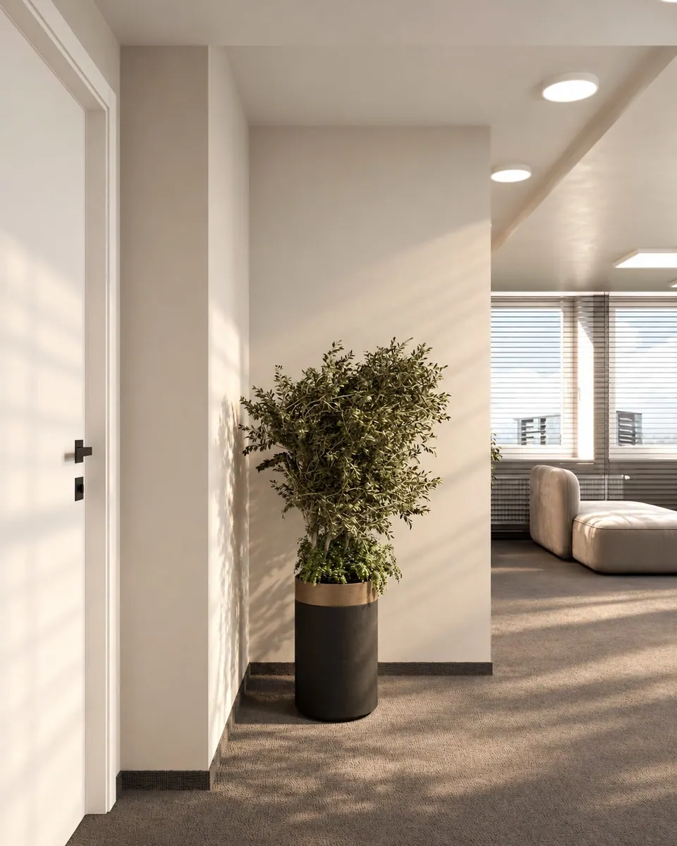Open-plan office entrance hall with a plant by the door